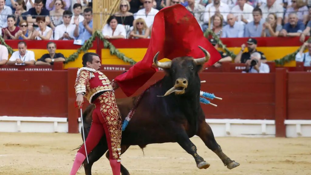Alicante bullfight