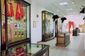 Muzeum walk byków w Alicante